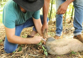 Estudantes de Agroecologia do IFG participam de vivência na roça da Vila Esperança