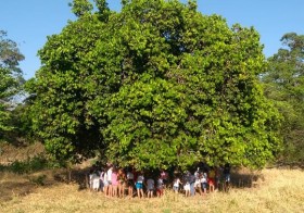 Poesia no quintal, na escola e fora dela