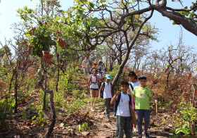 Pesquisador@s do Cerrado